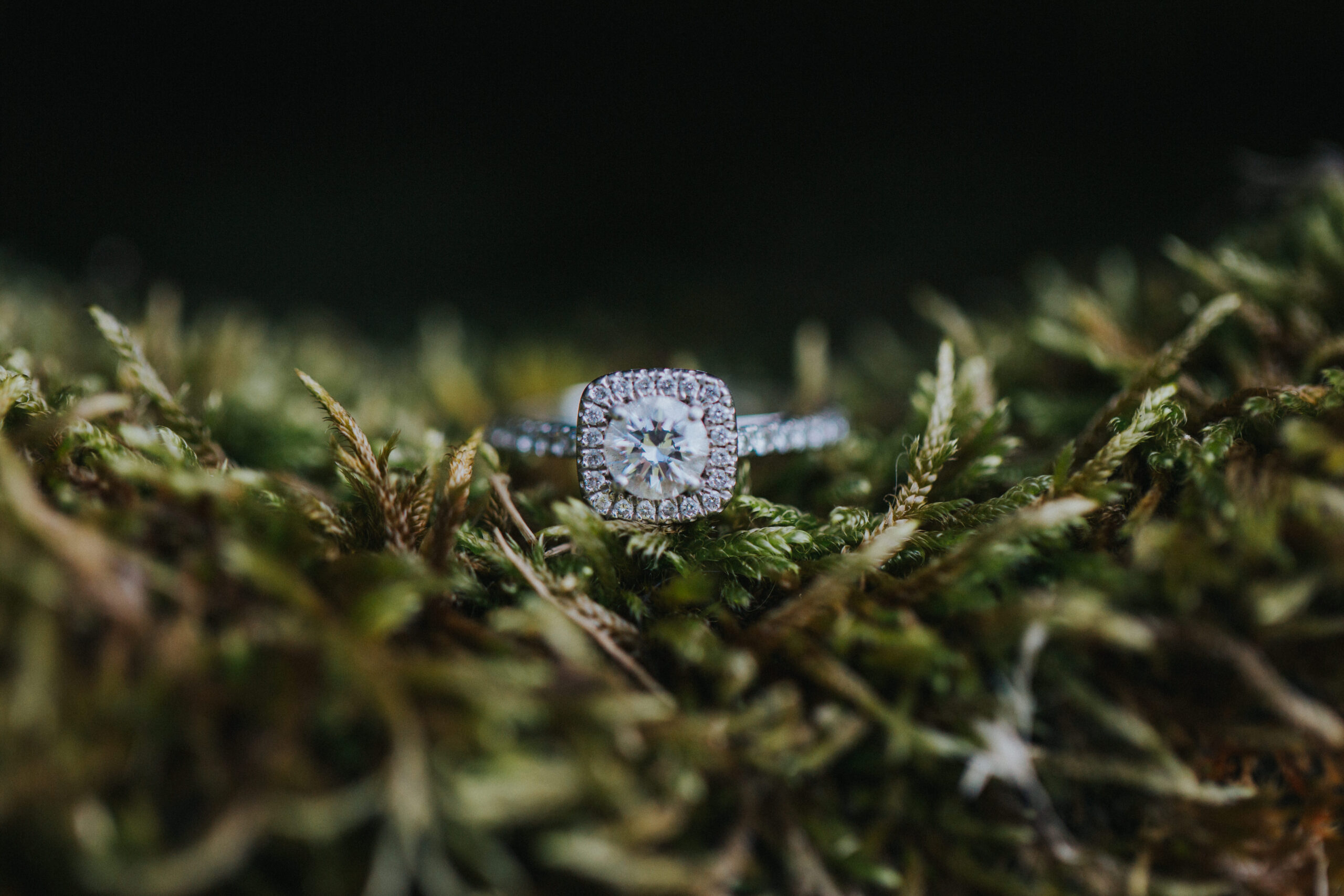 bride's engagement ring nestled in moss
