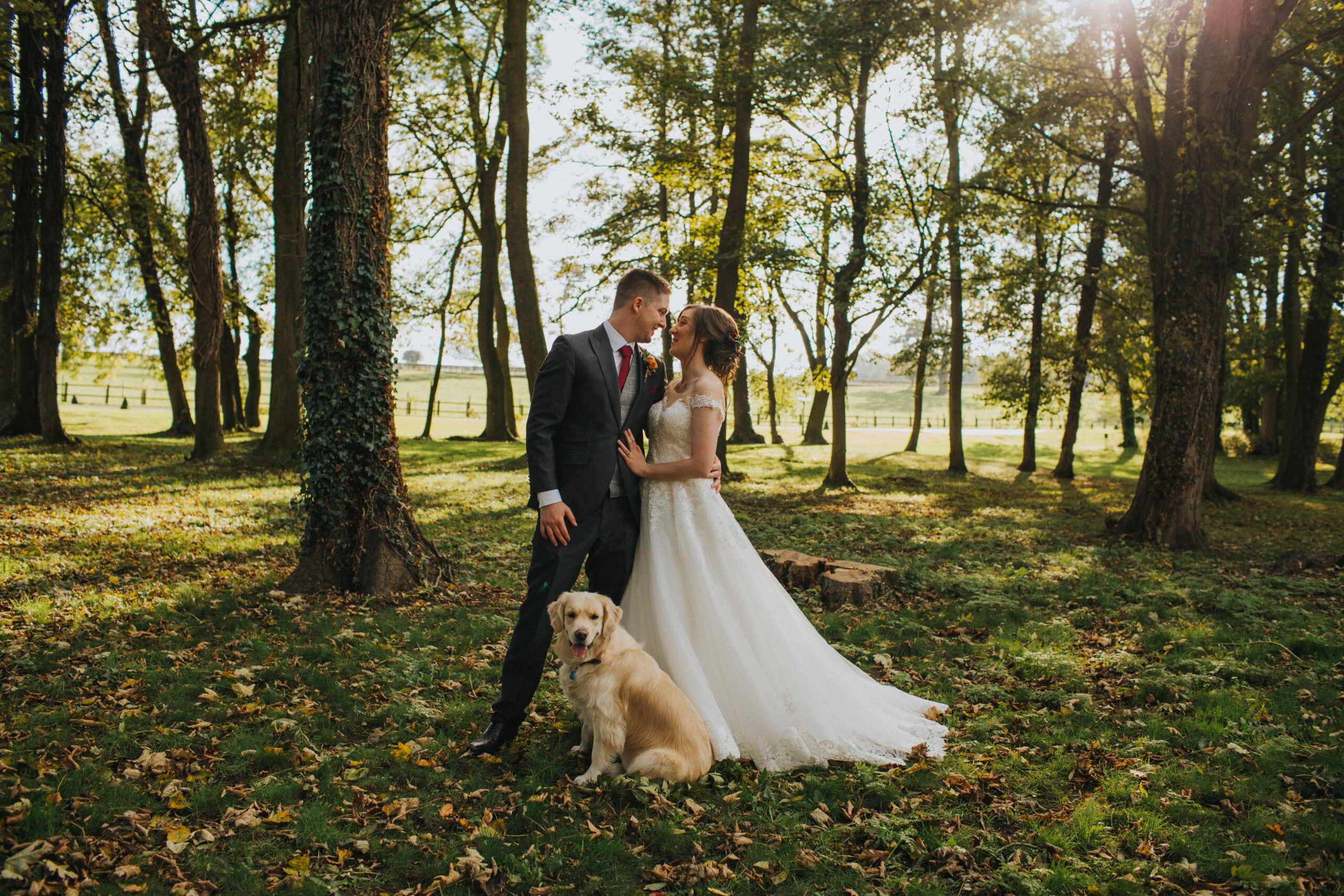 bride and groom with golden retriever at wedding
