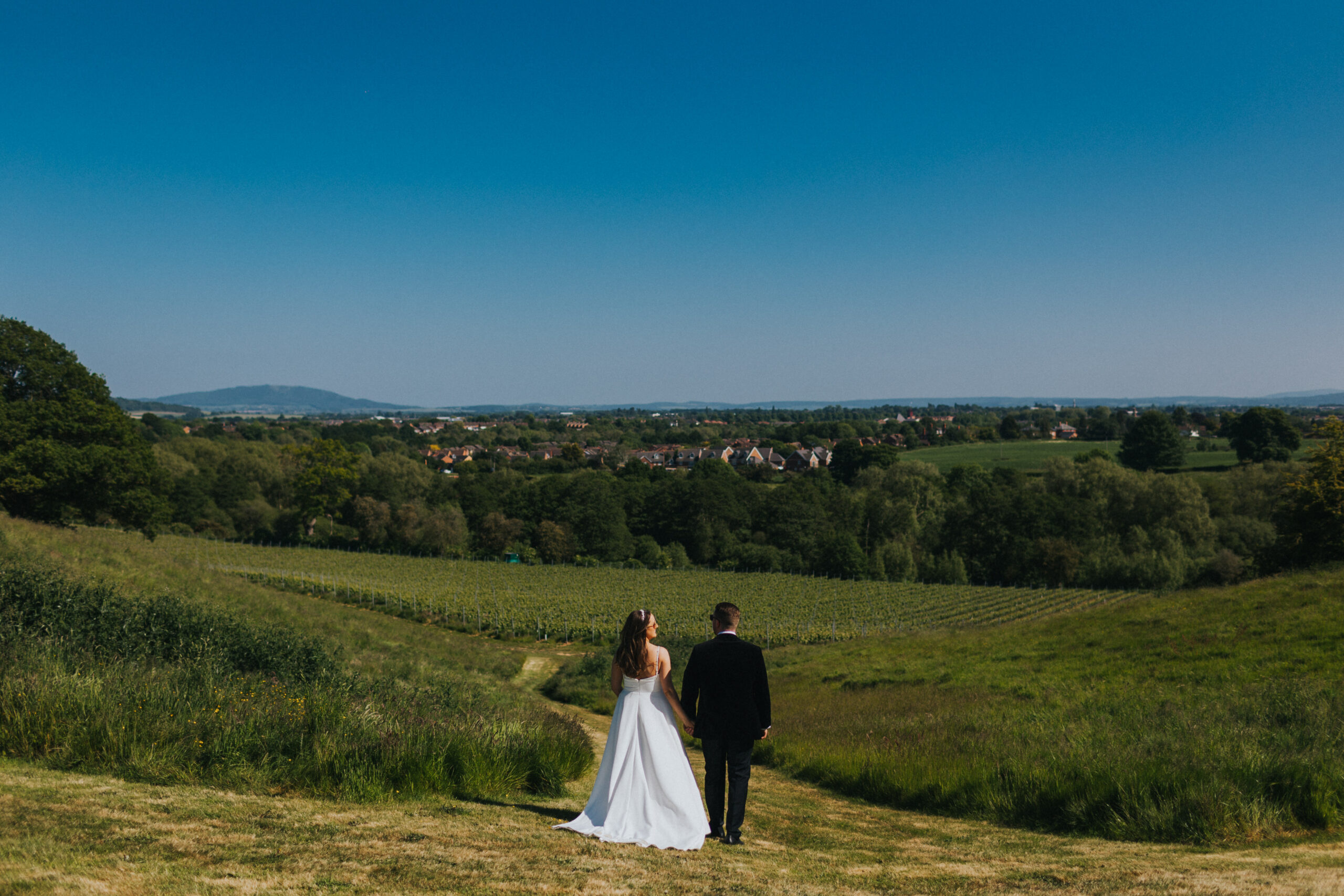 bride and groom looking out over vineyard at Hencote