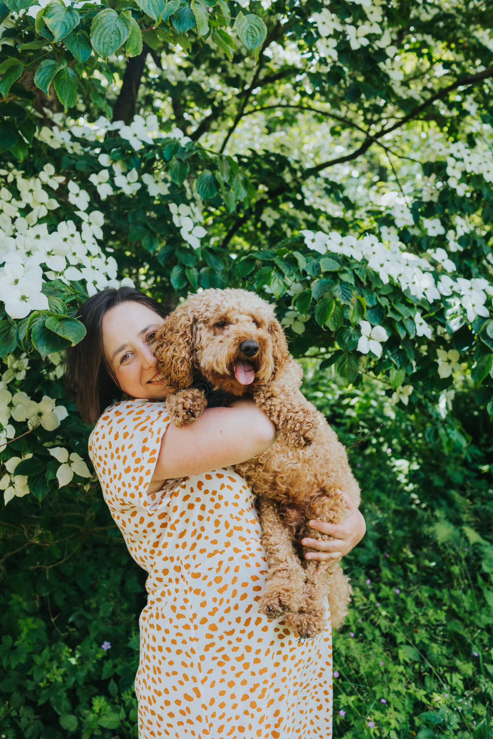 Staffordshire family shoot