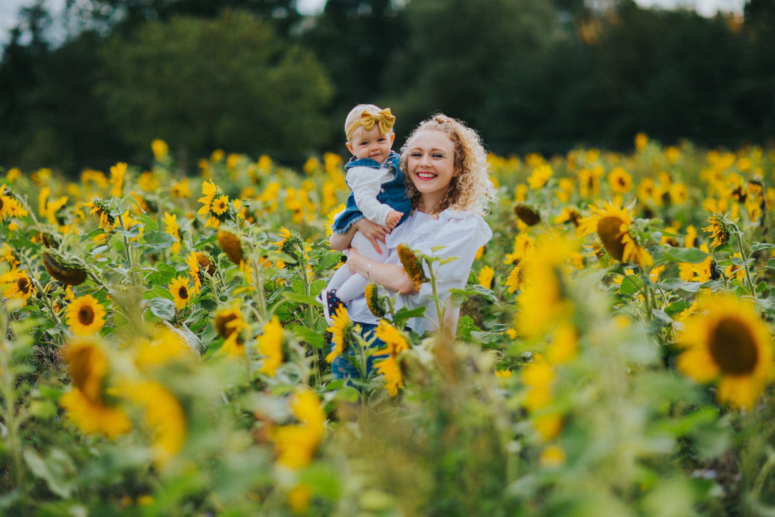 Sunflower field family photography