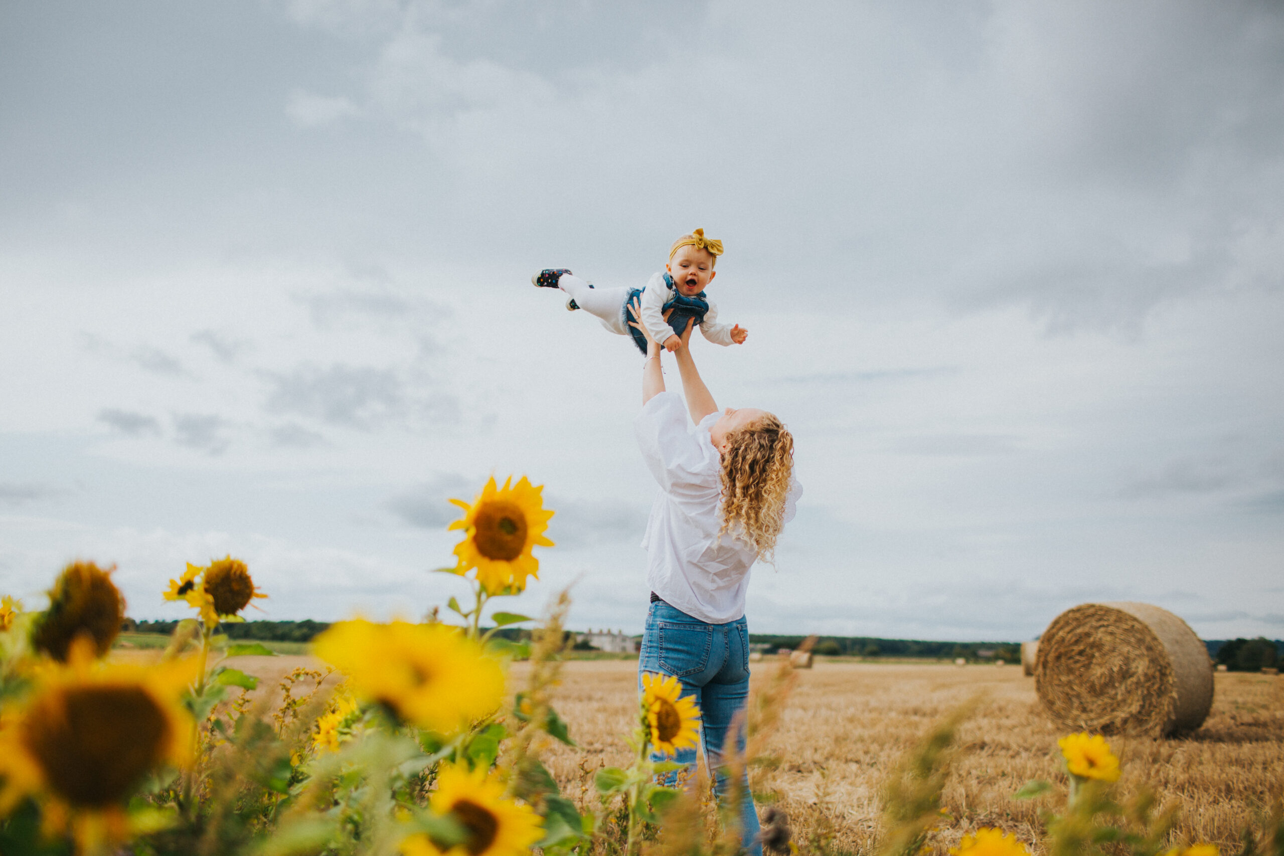 Shropshire Sunflower Field