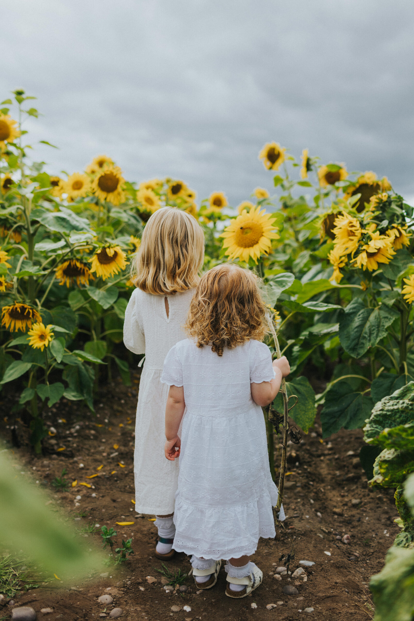 Shropshire Petals Family Session