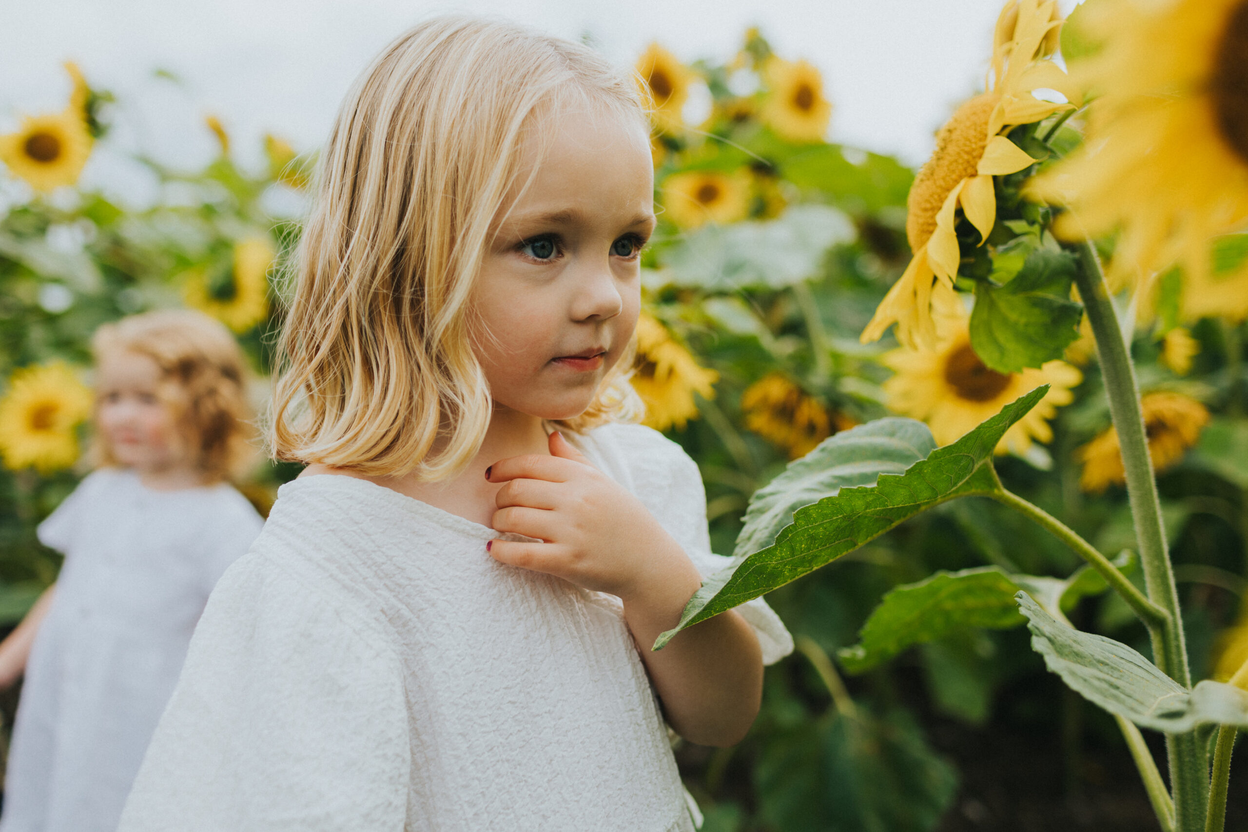 Shropshire Petals Family Session