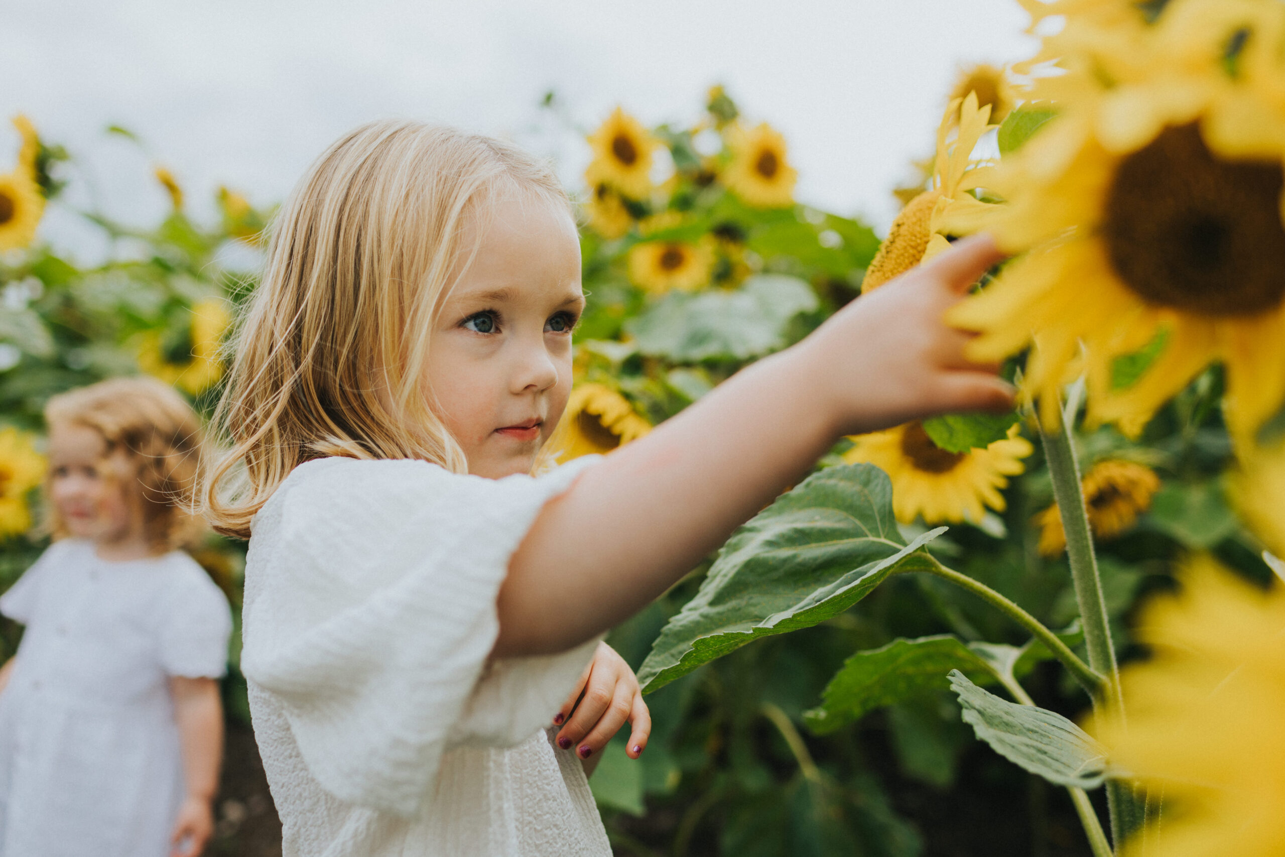 Shropshire Petals Family Session