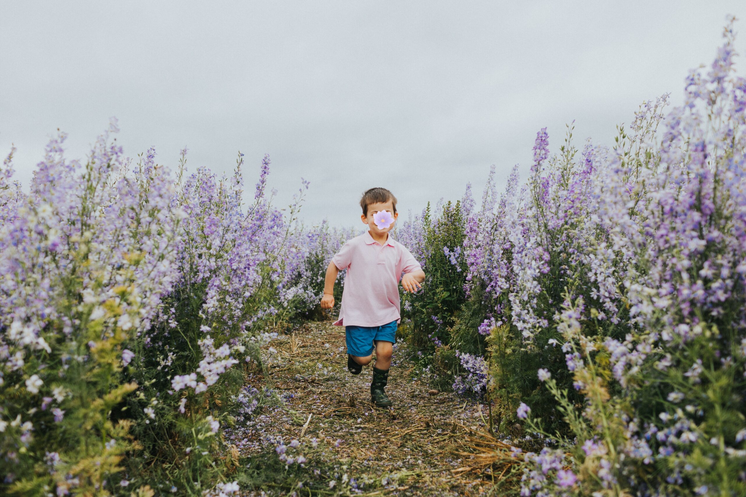 shropshire petals family session