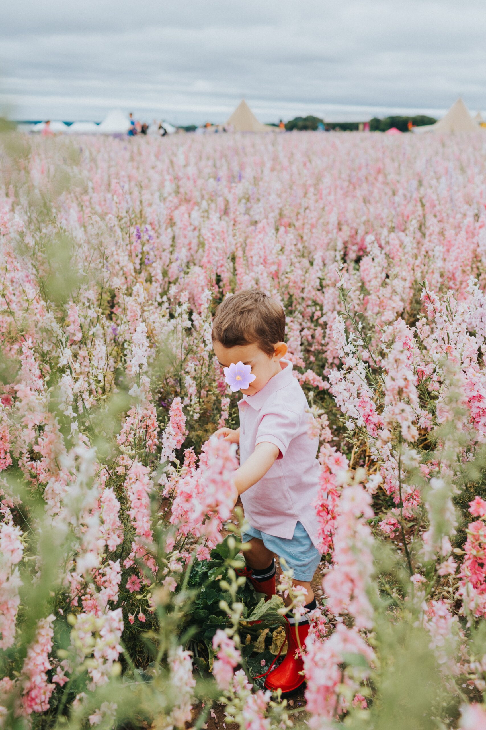 shropshire petals family session